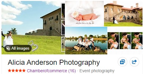 Alicia Anderson Wedding Photography Testimonial